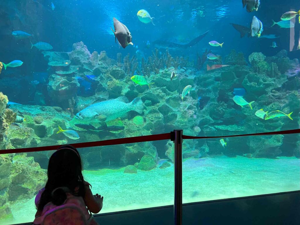 A toddler enjoys her trip to Aquaria KLCC watching fish in an aquarium.