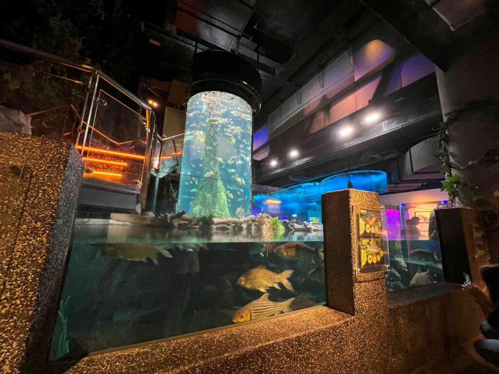 A tall fish tank where visitors tend to take Aquaria KLCC photos.