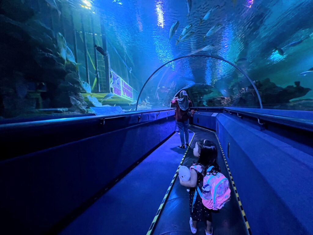 A toddler goes on the underwater travelator at Aquaria KLCC.